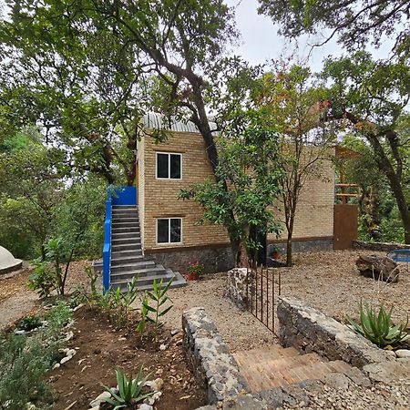 La Cabana Azul Al Fondo Del Bosque De 迪坡斯特兰 外观 照片