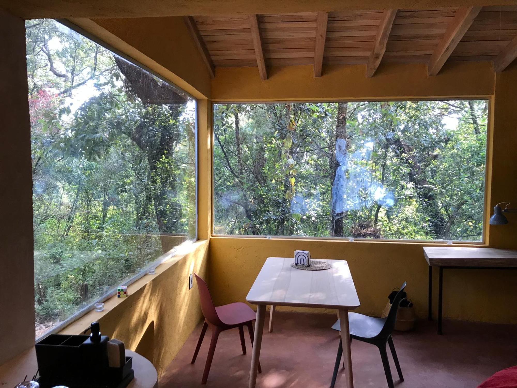 La Cabana Azul Al Fondo Del Bosque De 迪坡斯特兰 外观 照片