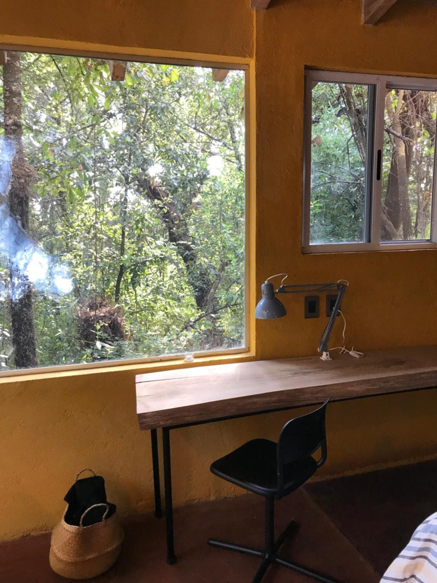 La Cabana Azul Al Fondo Del Bosque De 迪坡斯特兰 外观 照片